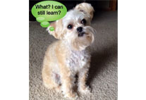 Embracing Discipline and Healthy Habits at Any Age