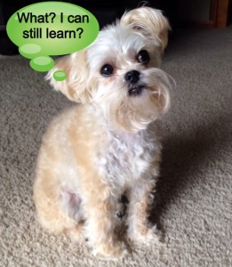 photo of Kodie