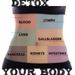 Text framing a close up of a stomach (with color blocking to represent blood, lymph, liver, gallbladder, pancreas, kidneys and intestines) reads, "Detox Your Body"