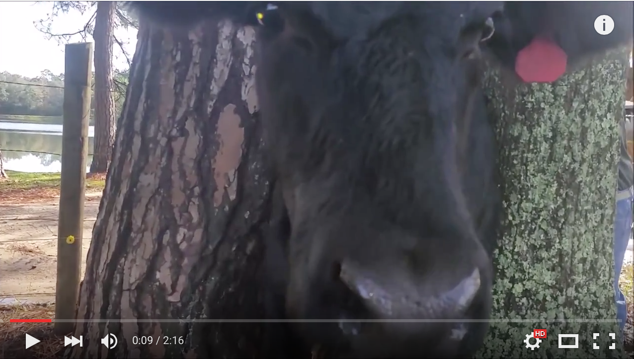 Do you ever feel stuck?