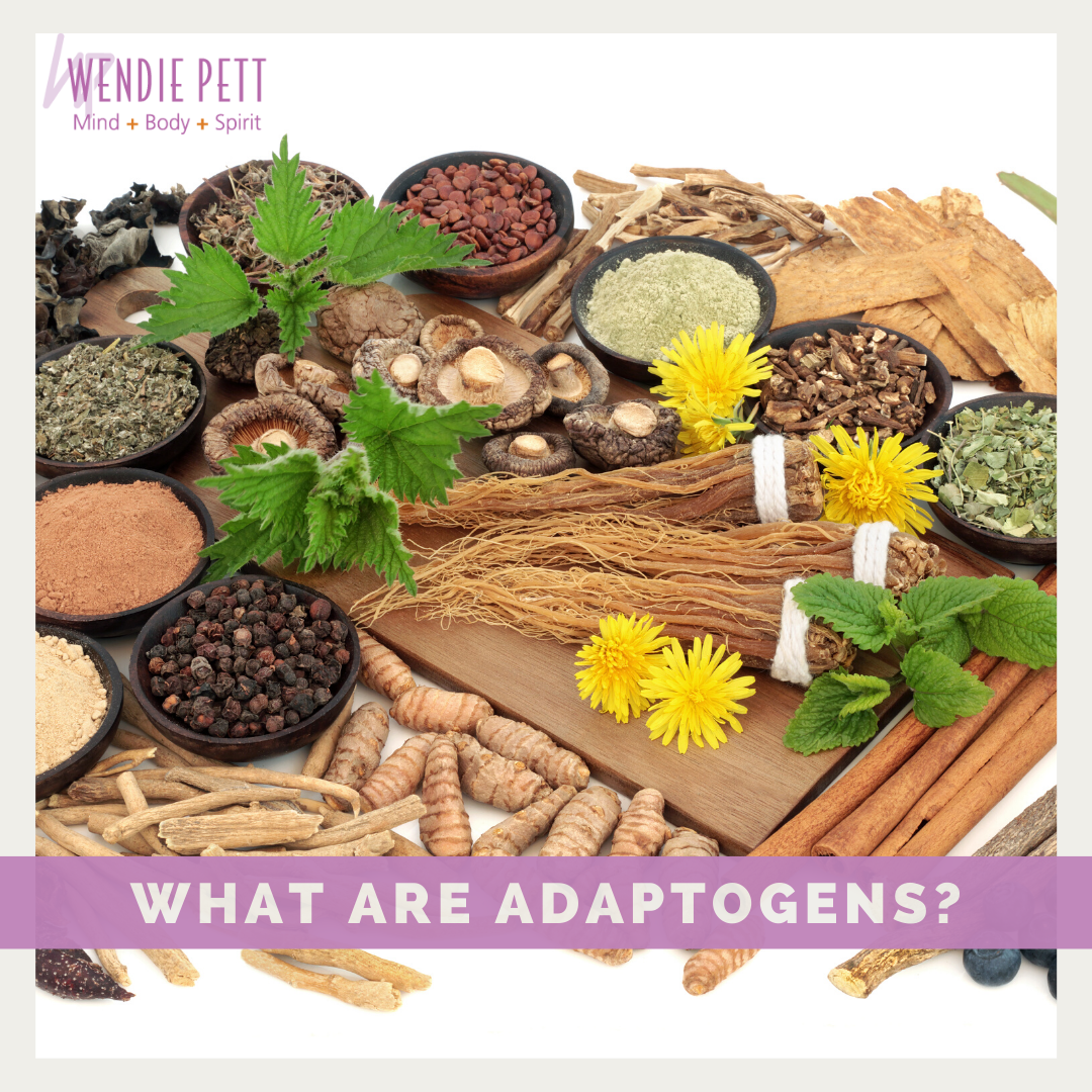 What are Adaptogens?