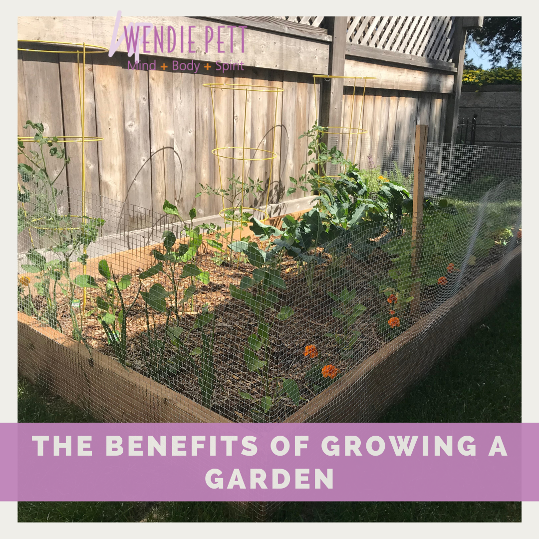 The Benefits of Growing a Garden