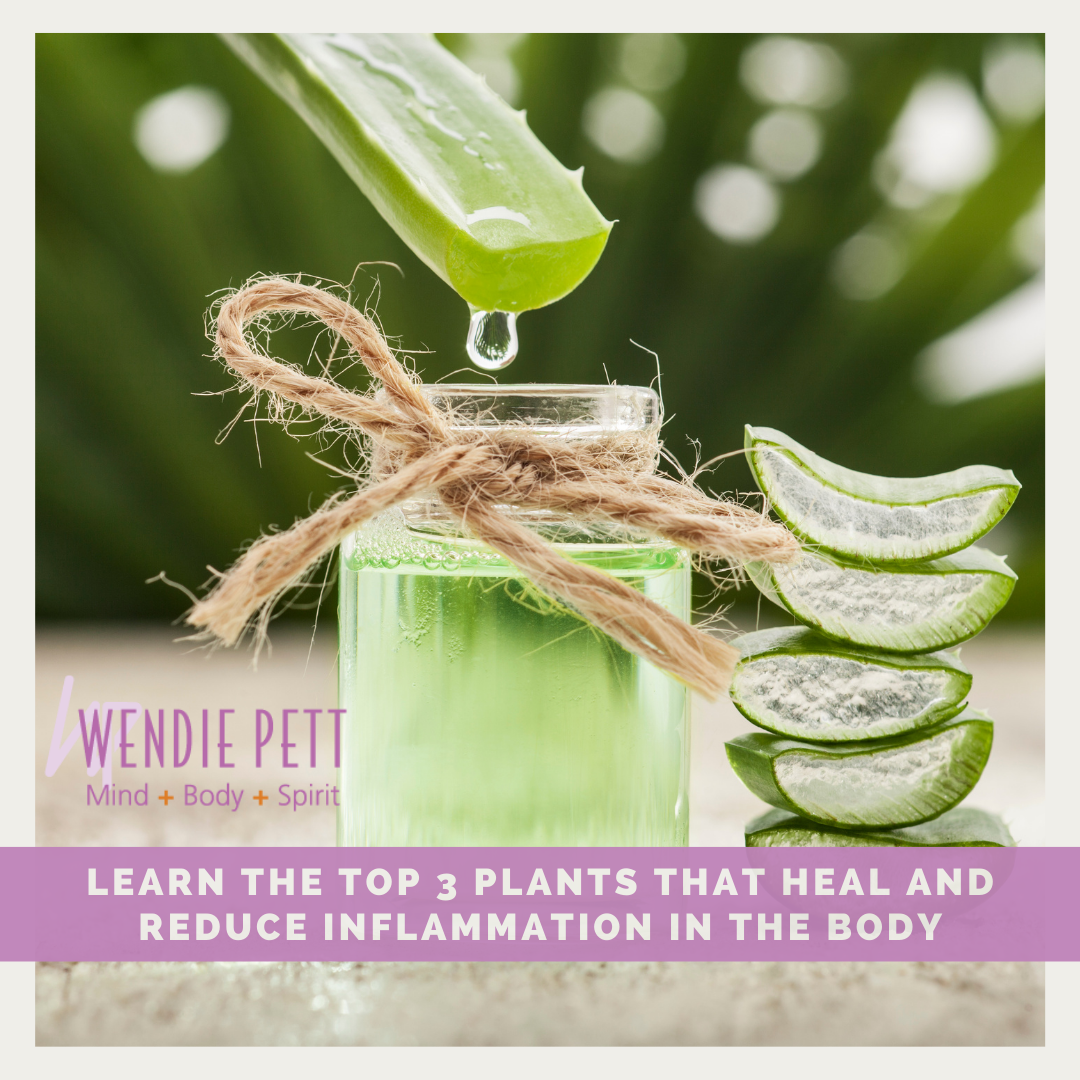 Learn the Top 3 Plants That Heal and Reduce Inflammation in the Body